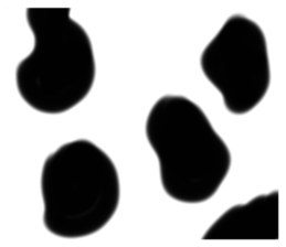 506710819