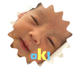 506729841