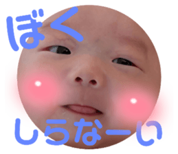 506729987
