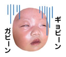 506744451