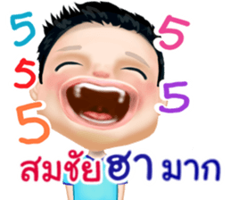 50674552