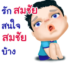 50674558