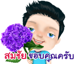 50674570