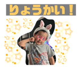 506751537