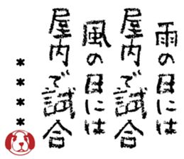506755317
