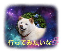 506768924