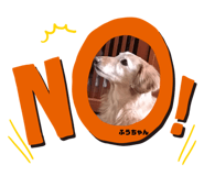 506775462