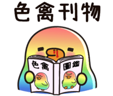 506775632