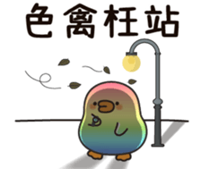 506775633