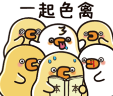 506775637