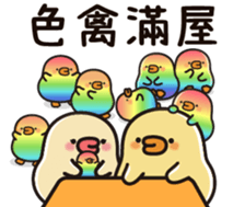 506775641