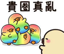506775657
