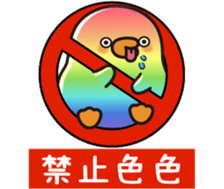506775666