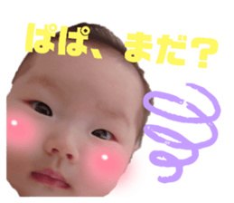 506792686