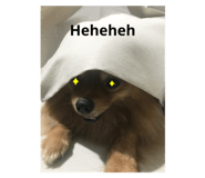 506819323