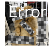 506819324