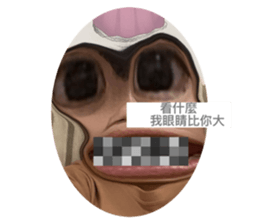 506833236