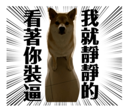 506835121
