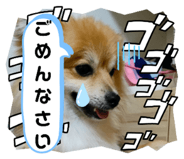 506845743
