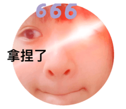 506848902