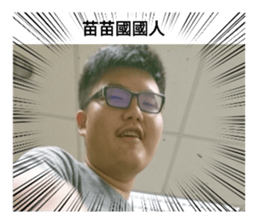 506852499