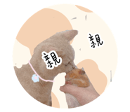 506857412