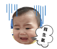506895056