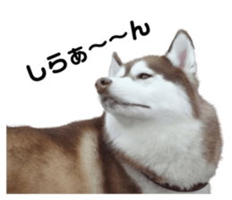 506908360