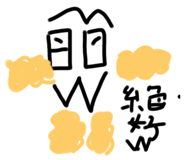 506909837