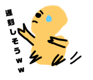506909841