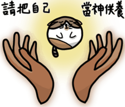 506919066
