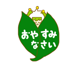 5069308