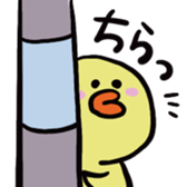 506936849