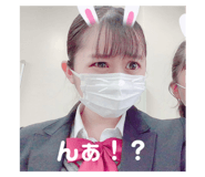 507067317