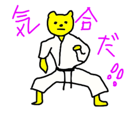 5070845