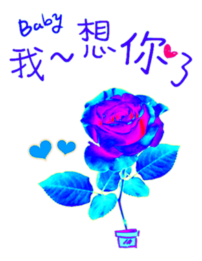507182721