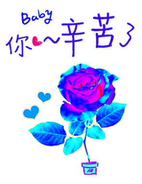 507182728