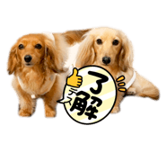 507207661