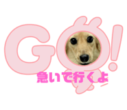 507207669