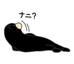 5072459