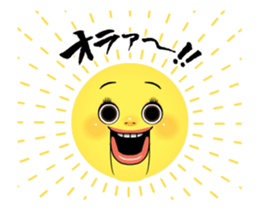 50729046