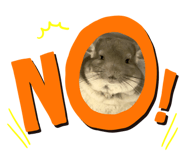 507291987