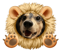 507292917