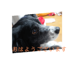 507295354
