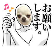 507304425