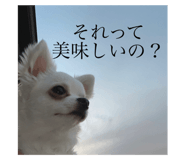 507304445