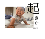 507328317