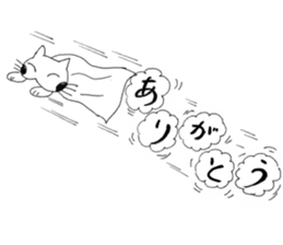 5073691