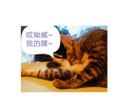 507434276