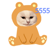 507437767